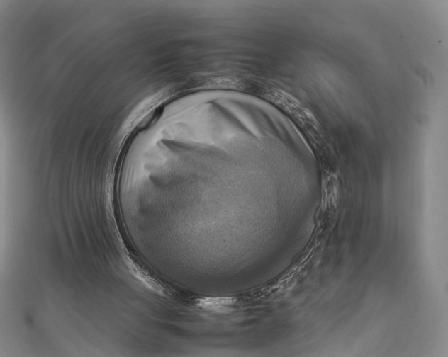 X0000112090051200908251136
