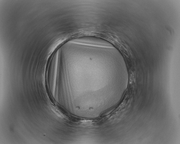 X0000112090052200908251136