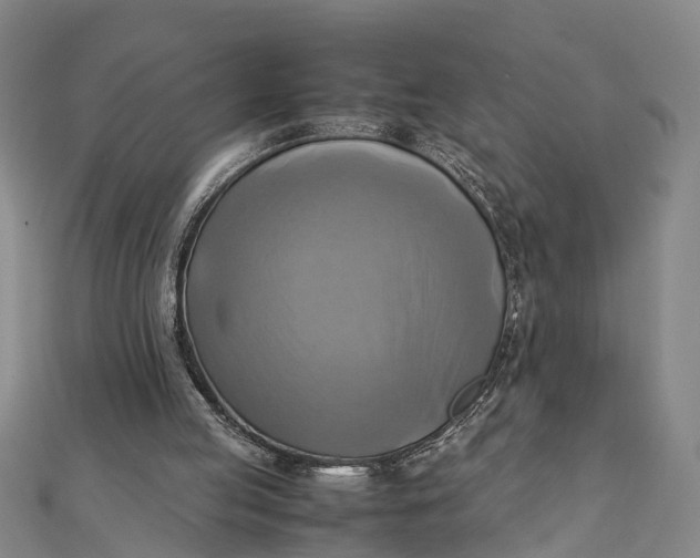 X0000112090053200908251136