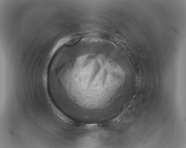X0000112090054200908251136
