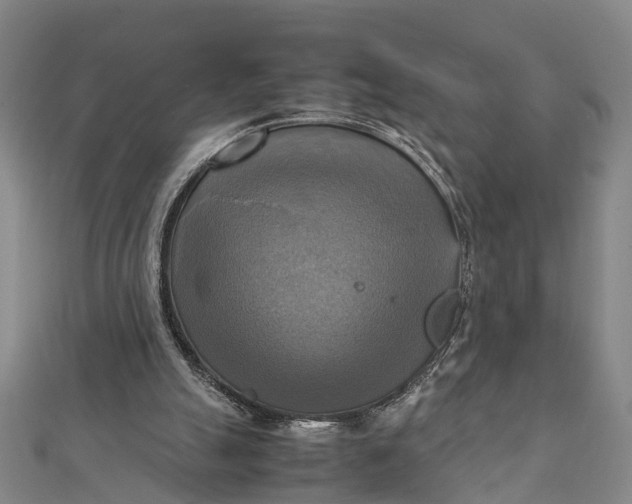 X0000112090055200908251136