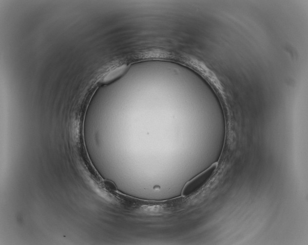 X0000112090057200908251136