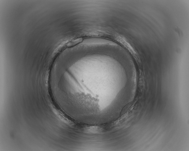X0000112090058200908251136