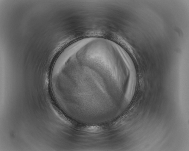 X0000112090059200908251136