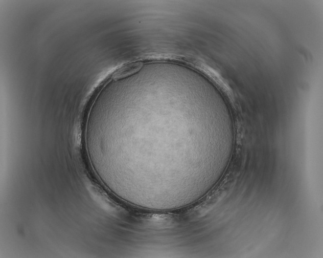 X0000112090060200908251136