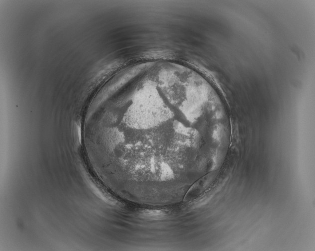 X0000112090061200908251136