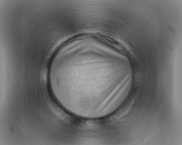 X0000112090064200908251136