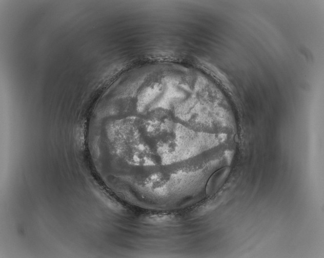 X0000112090065200908251136