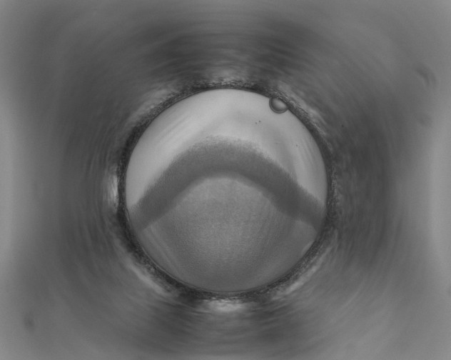 X0000112090067200908251136