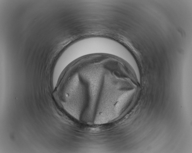 X0000112090068200908251136