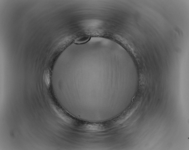 X0000112090069200908251136