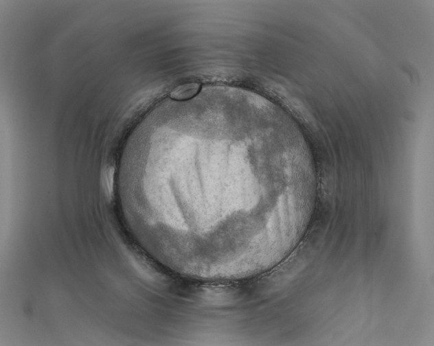 X0000112090070200908251136