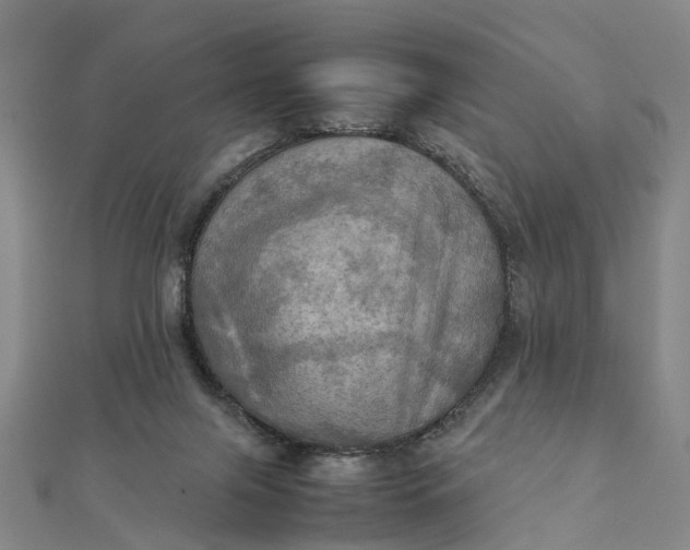 X0000112090071200908251136