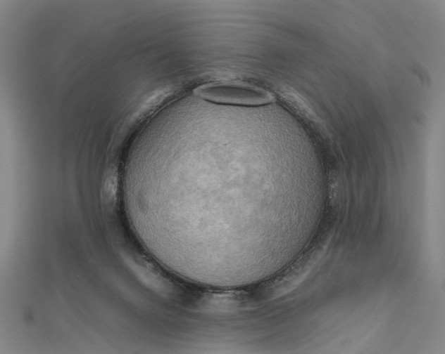 X0000112090072200908251136