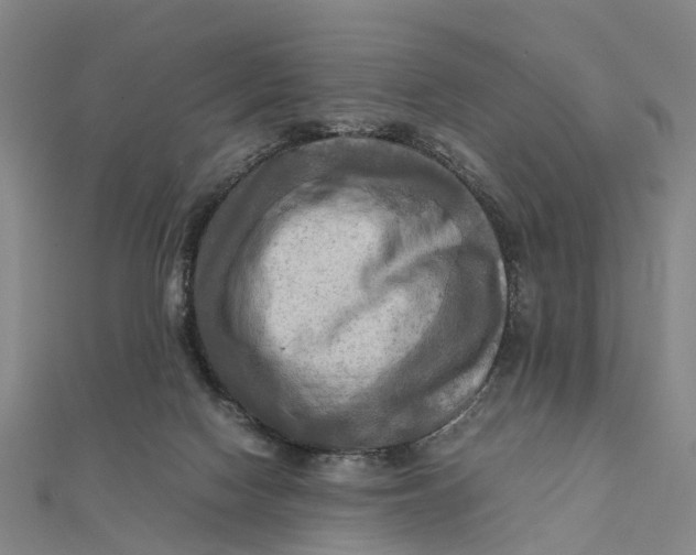 X0000112090074200908251136
