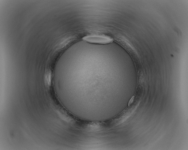 X0000112090076200908251136