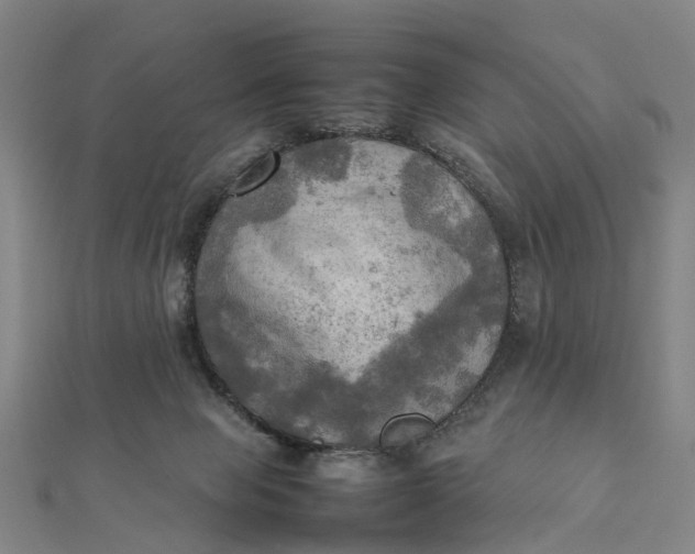 X0000112090077200908251136