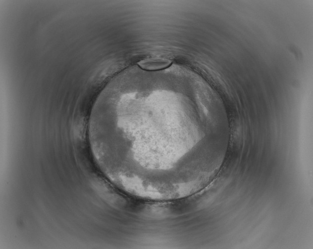 X0000112090078200908251136