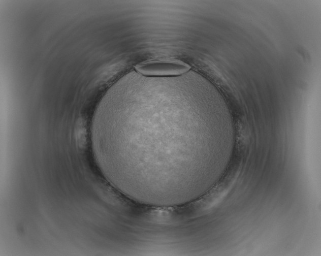 X0000112090080200908251136