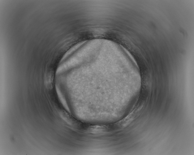 X0000112090082200908251136