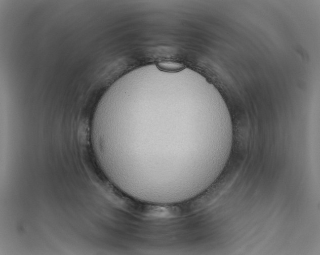 X0000112090083200908251136