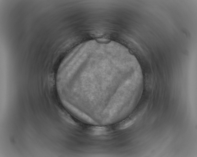 X0000112090085200908251136