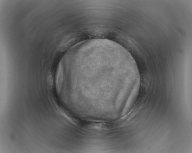 X0000112090086200908251136