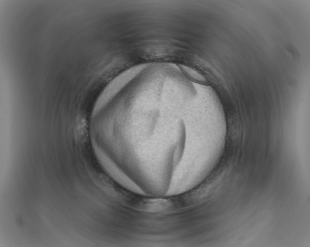 X0000112090087200908251136