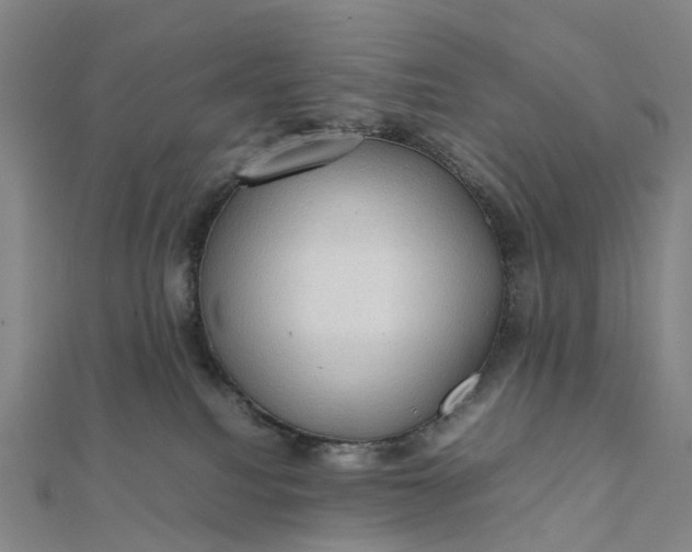 X0000112090088200908251136