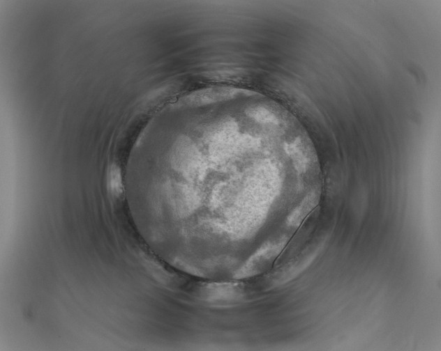 X0000112090089200908251136
