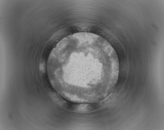 X0000112090090200908251136