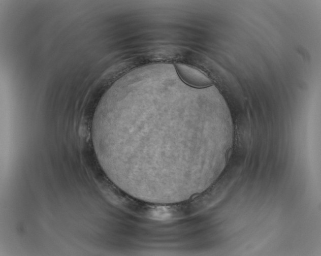 X0000112090091200908251136