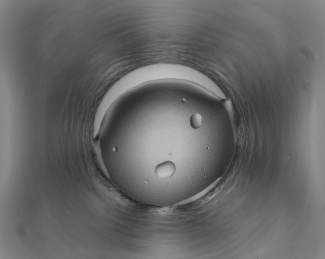 X0000112090092200908251136