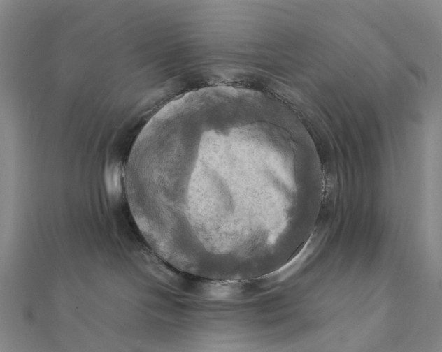 X0000112090094200908251136