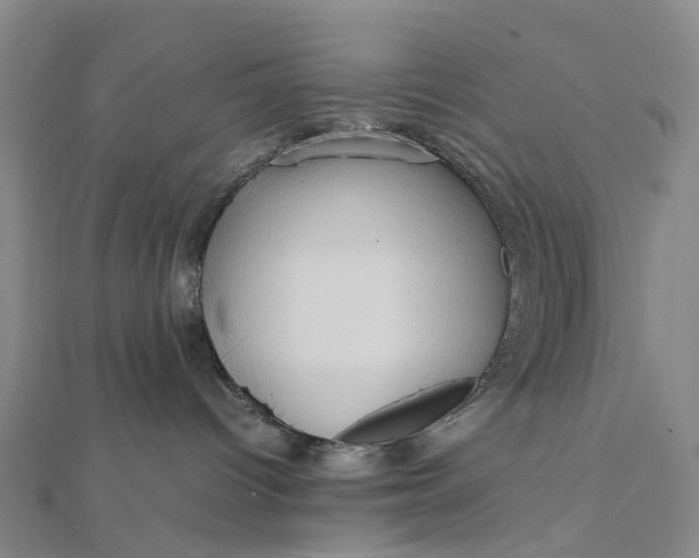 X0000112090096200908251136