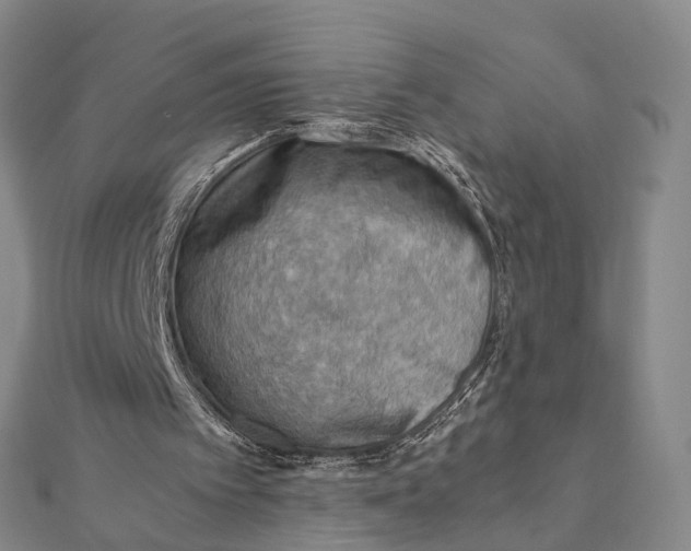 X0000112090097200908251136