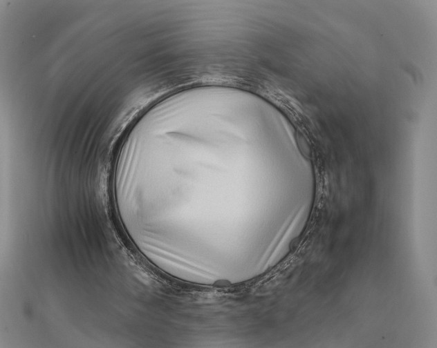 X0000112090098200908251136