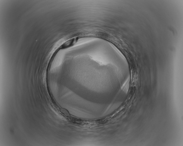 X0000112090099200908251136