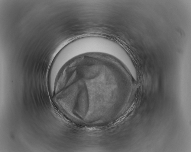 X0000112090100200908251136