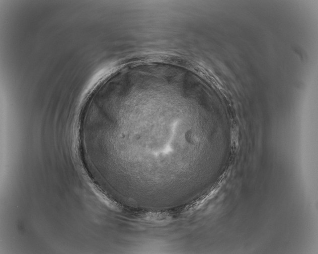 X0000112090101200908251136