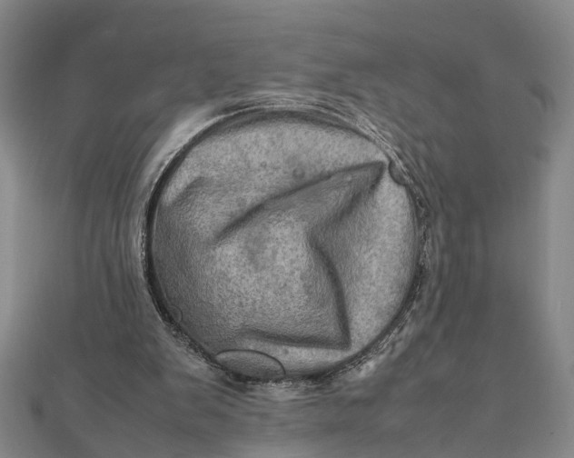 X0000112090103200908251136