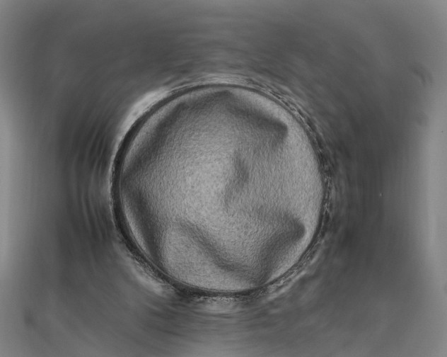 X0000112090104200908251136