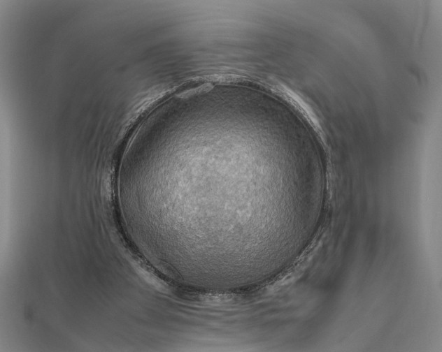 X0000112090105200908251136