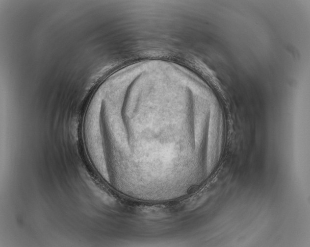 X0000112090106200908251136