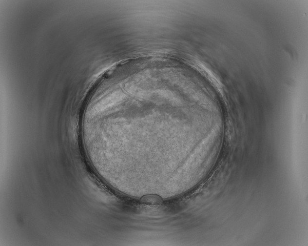 X0000112090107200908251136