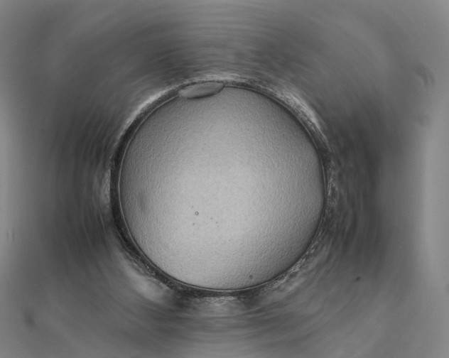 X0000112090108200908251136