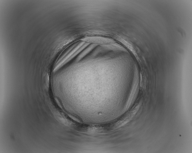 X0000112090109200908251136