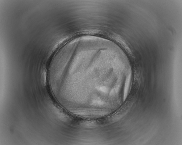 X0000112090110200908251136