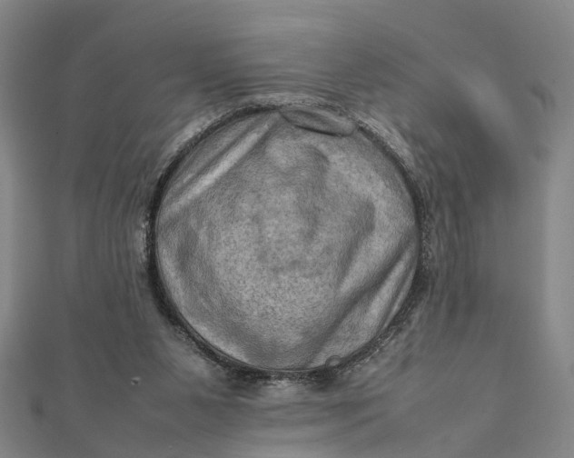 X0000112090111200908251136