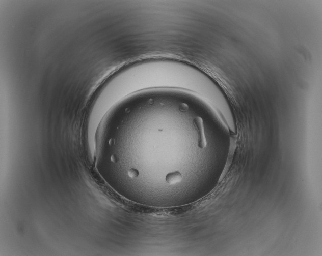 X0000112090112200908251136